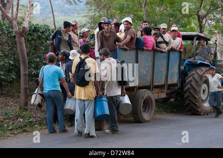 Les travailleurs des plantations de café aux champs de navettage de la vallée centrale du Costa Rica Banque D'Images
