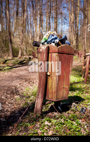 La saison du printemps et de déchets dans la forêt Banque D'Images