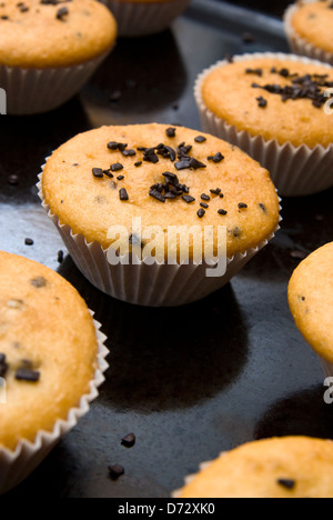Des muffins fraîchement cuits dans cups garnie de chocolat . Banque D'Images