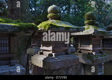 Lanternes en pierre dans la région de Kasuga Taisha Temple, Nara, Japon Banque D'Images