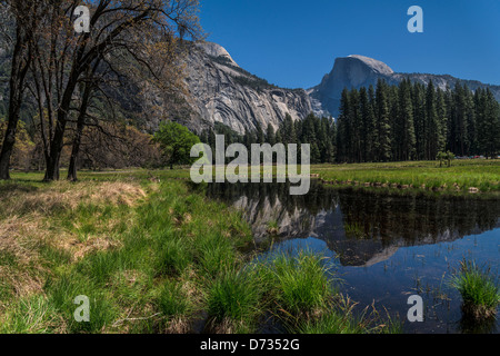 Demi Dôme À YOSEMITE MEADOW POND Banque D'Images