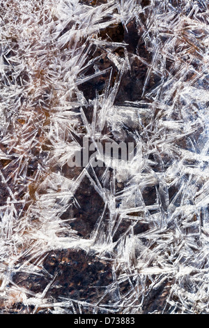 Cristaux de glace gel sous l'eau gelée dans la forêt au printemps Banque D'Images