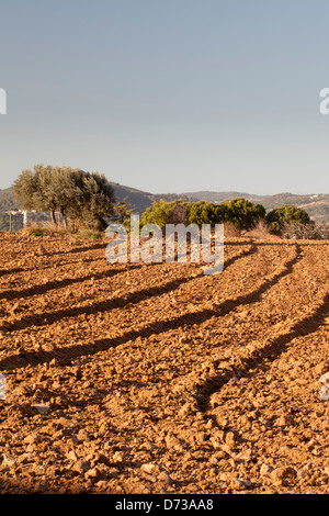 Marimon, Caldes de Montbui village, Barcelone, Espagne Banque D'Images