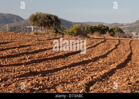 Marimon, Caldes de Montbui village, Barcelone, Espagne Banque D'Images