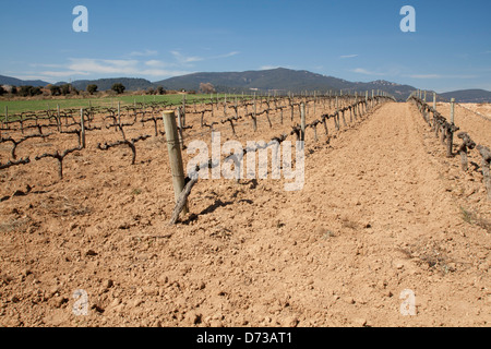 Marimon, Caldes de Montbui village, Barcelone, Espagne Banque D'Images