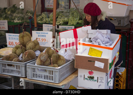 Les fruits exotiques à vendre dans le quartier chinois Banque D'Images