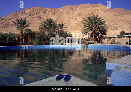 Une piscine d'eau à Ein Feshkha ou Einot Tzukim nature réserver son nom d'un printemps de l'eau saumâtre de la région sur la rive nord-ouest de la Mer Morte Israël Banque D'Images