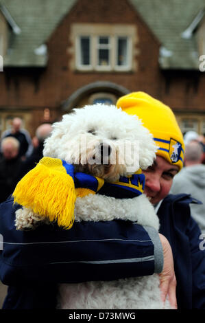 28 avril 2013, Mansfield, Nottinghamshire, Angleterre. Mansfield Town F.C. célébrer promotion retour à football ligue la saison prochaine (2013-2014)avec un open top bus tour de la ville.spectateurs le long de la route en chantant et scandant comme le bus de l'équipe par le passé. Alamy Live News. Banque D'Images