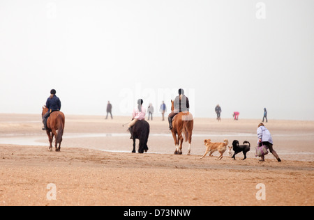 Les gens qui marchent, des chevaux et des chiens de marche, Holkham beach, Norfolk, East Anglia, Angleterre, Royaume-Uni Banque D'Images