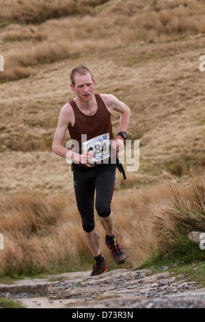 Vainqueur du Yorkshire Trois Peaks Challenge Samedi 27 Avril, 2013. No.484 Joe Symonds de l'équipe internationale de Salomen Whernside croissant dans la 59e course annuelle de 3 sommets avec 1000 coureurs ont chuté à partir des terrains de jeu, de Horton dans Ribblesdale, Nr, régler, au Royaume-Uni. Pen-y-Ghent est le premier pic d'être monté puis Whernside et enfin le pic de Ingleborough. La course a expiré à l'aide du système de poinçonnage électronique SPORTident. Banque D'Images