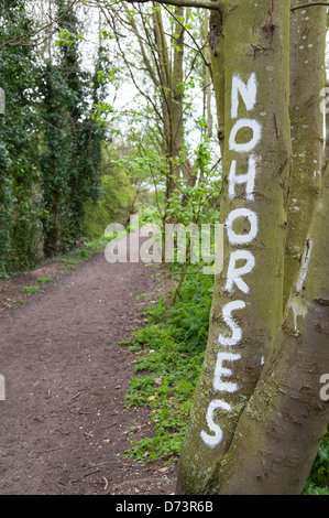 Pas de chevaux signes peints sur les arbres bordant un sentier dans South Cambridgeshire UK Banque D'Images