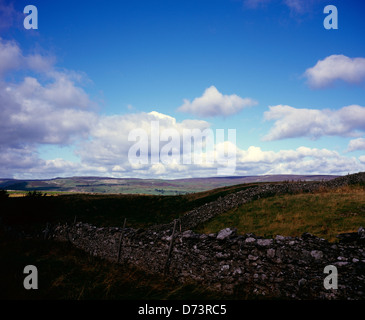 Vue sur Wensleydale sur les pentes de l'Ouest au-dessus de la balise Penhill Burton Wensleydale Yorkshire Dales England Banque D'Images