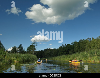 Kayaks sur la rivière Krutynia en Pologne Banque D'Images