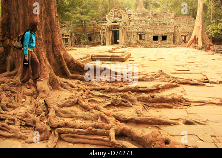 Ta Prohm temple, zone d'Angkor, Siem Reap, Cambodge Banque D'Images