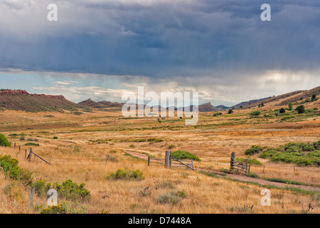 Des nuages bleu foncé pour pluie sur une prairie couverte de gazon qui affiche une riche variété de tons jaune. Banque D'Images