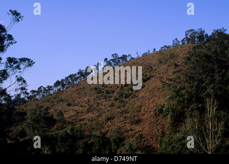 Madagascar, près de Moramanga, coupe à blanc, Mandraka Hills Banque D'Images