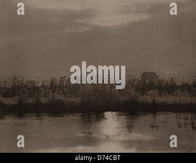 Cette photographie capture la beauté délicate des cristaux de rime, mettant en valeur les motifs complexes formés par la vapeur d'eau gelée. L'image met en valeur l'art naturel du gel. Banque D'Images