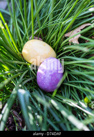 L'Albâtre Oeufs de Pâques cachés dans un patch d'herbe pour les enfants à trouver. Banque D'Images