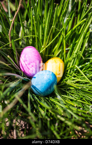 L'Albâtre Oeufs de Pâques cachés dans un patch d'herbe pour les enfants à trouver. Banque D'Images