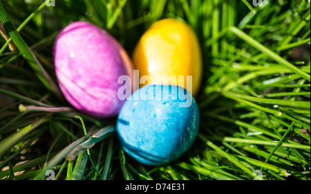 L'Albâtre Oeufs de Pâques cachés dans un patch d'herbe pour les enfants à trouver. Banque D'Images