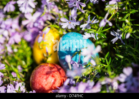 L'albâtre des œufs de Pâques cachés dans un patch de Phlox sauvages pour les enfants à trouver. Banque D'Images