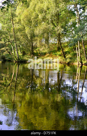 La rivière gagner à Comrie Perthshire Scotland UK Spring Summer reflections Banque D'Images