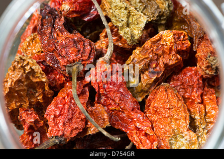 Les Bhut Jolokia Naga Jolokia (aka, Naga Morich, etc) les piments dans un bocal. UK, 2013. Banque D'Images