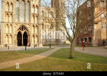 Cathédrale d'Ely et l'Évêché vu de Palace Green dans la soirée, Ely Cambridgeshire UK Banque D'Images