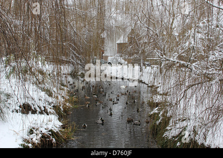 Photos de la neige dans et autour de St Paul's Cray le capital des pays et les banlieues environnantes a connu son premier Banque D'Images