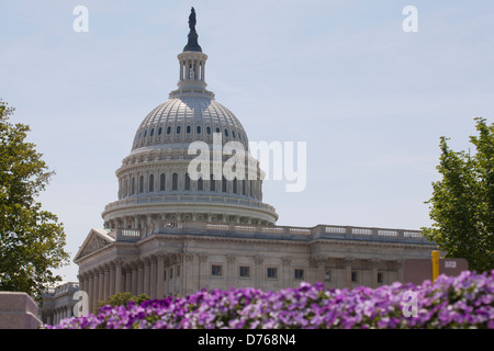 US Capitol Building, Washington DC Banque D'Images