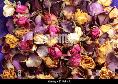 Close-up d'un pot-pourri de roses séchées colorées Banque D'Images