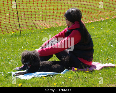 Femme s'assit sur l'herbe avec caniche Toy dog, UK 2013 Banque D'Images