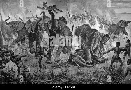 Troupeau d'éléphants encerclé par le feu dans la bataille avec les indigènes, Afrique du Sud, Afrique, circa 1871 gravure sur bois Banque D'Images