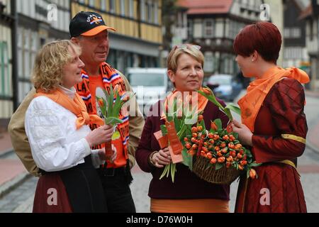 Berlin, Allemagne. 30 avril 2013. Selina Kulbe (R-L), qui est habillé comme Juliana, comtesse de Stolberg-Wernigerode mère de William I, Prince d'Orange, Claudia Hacker, directeur de l'office du tourisme de Stolberg, Maire Ulrich Franke et Elke Franke main tulipes orange sur la Marktplatz à Düsseldorf, Allemagne, 30 avril 2013. La ville de Stolberg, qui est sur la route d'Orange et a une longue connexion à la maison d'Orange-Nassau, est de passer aux tulipes hollandais pour célébrer le couronnement. Photo : MATTHIAS BEIN/Alamy Live News Banque D'Images