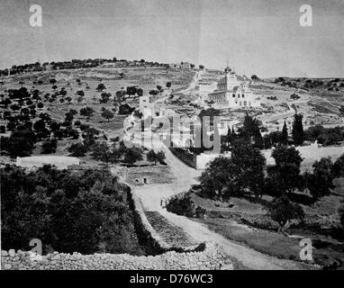 L'un des premiers en demi-teintes, 1880, Ölberg, Jérusalem Banque D'Images