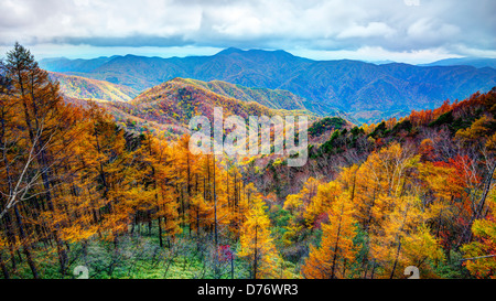 Gamme de montagne dans le parc national de Nikko à Nikko, Tochigi, au Japon. Banque D'Images