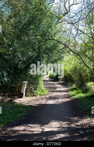 Corporation de la ville de Londres de l'impôt sur le charbon devoir poster avec bouclier de la ville de la Loi concernant les droits sur le charbon '1845' Colley Hill Bridle Path Reigate Surrey Banque D'Images