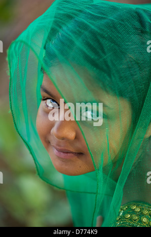 Indian girl Shalini avec voile l'Andhra Pradesh en Inde du Sud Banque D'Images