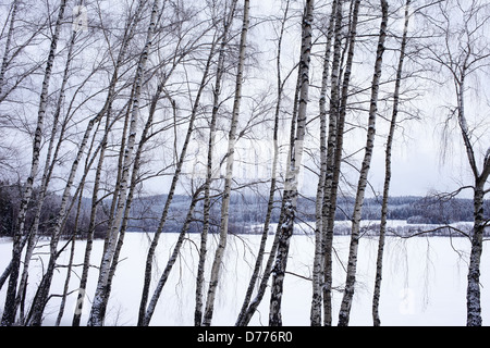 Des lèvres, de la République tchèque, the frozen Lipno Banque D'Images