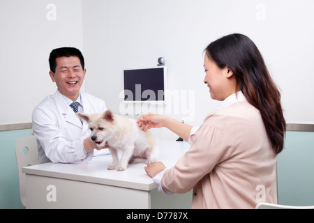 Femme avec chien dans le bureau du vétérinaire Banque D'Images