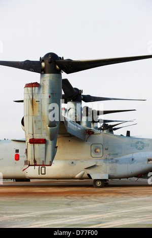 Line United States Marine Corps MV-22 Ospreys à Camp Bastion, dans la province de Helmand en Afghanistan Banque D'Images