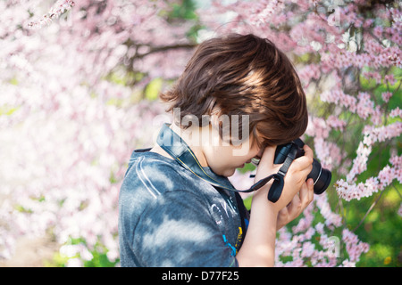 L'école un petit garçon avec un appareil photos les cerisiers Banque D'Images