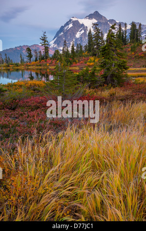 Mont Baker-Snoqualmie National Forest, WA : herbes et les airelles dans la couleur de l'automne à Photo Lake avec le Mont Shuksan au crépuscule Banque D'Images