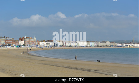 L'Esplanade en front de plage de Weymouth Dorset england uk Banque D'Images