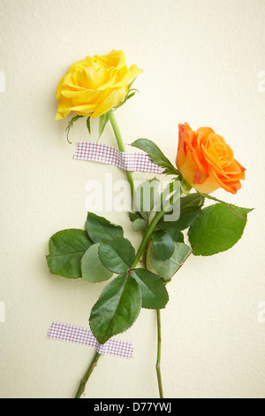 Bouquet de fleurs orange et jaune avec du ruban adhésif sur l'arrière-plan Banque D'Images