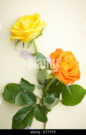 Bouquet de fleurs orange et jaune avec du ruban adhésif sur l'arrière-plan Banque D'Images