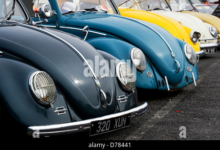 VW Coccinelle voitures. Front End Banque D'Images