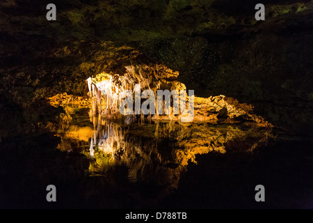 PALMA - circa 2013 : Grotte de Palma de Mallorca Banque D'Images