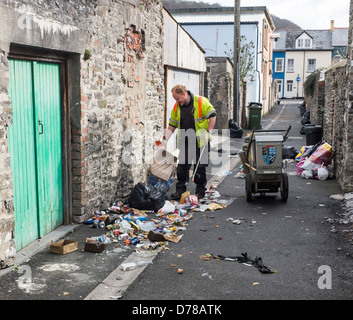 Un travailleur du conseil d'ordures éparpillées sur la compensation de la rue sacs poubelle éventré en fouillant les mouettes, Aberystwyth UK Banque D'Images