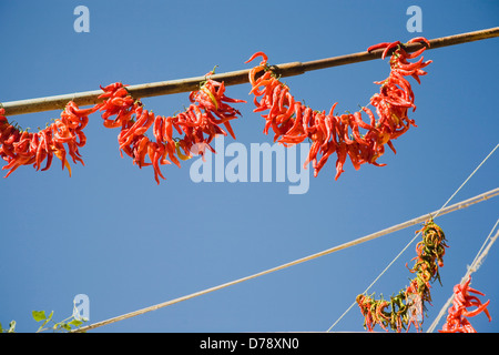 Turquie Kusadasi Aydin Province de cordes de piments orange rouge pendaison jusqu'à sec en fin d'après-midi le soleil d'été dans la vieille ville Banque D'Images